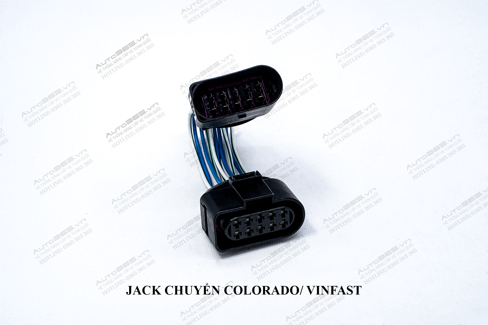 JACK COLORADO - VINFAST